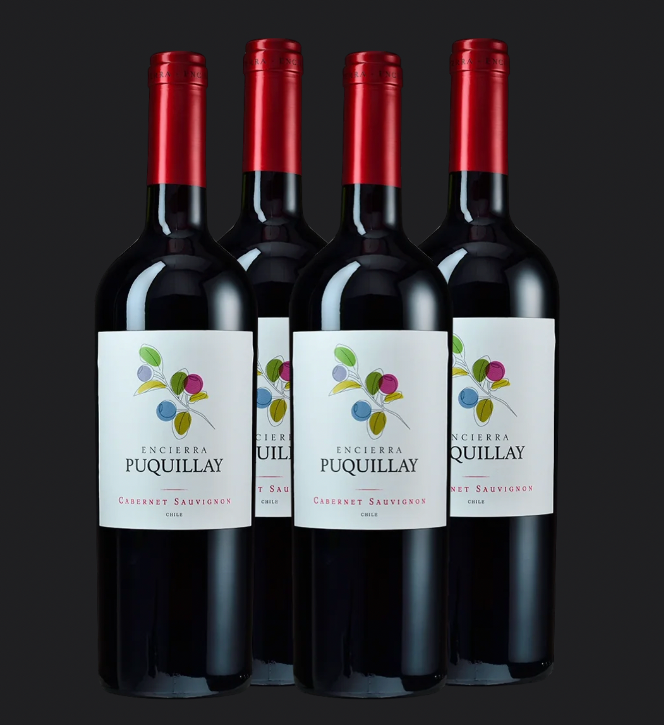 Pack 4 Vinos Cabernet Sauvignon Puquillay casa viña Encierra