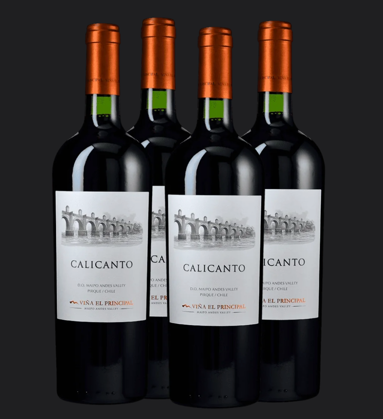 Pack 4 Vinos Calicanto Cabernet Sauvignon, Carménère casa Viña el Principal 2019